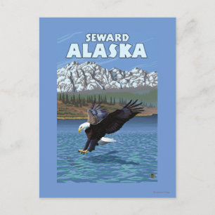 Bald Eagle Diving - Seward, Alaska Postcard