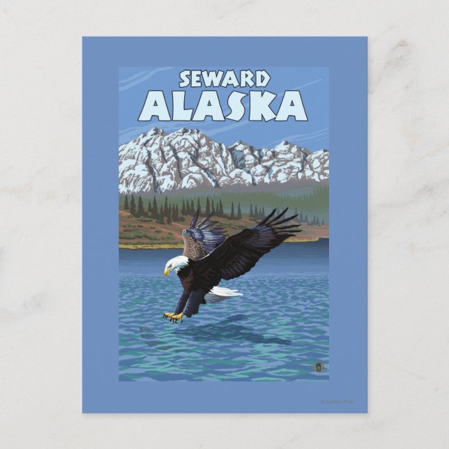 Bald Eagle Diving - Seward, Alaska Postcard (Front)