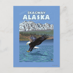 Bald Eagle Diving - Skagway, Alaska Postcard