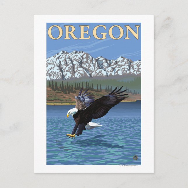 Bald Eagle Diving- Vintage Travel Poster Postcard (Front)