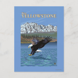 Bald Eagle Diving - West Yellowstone, MT Postcard