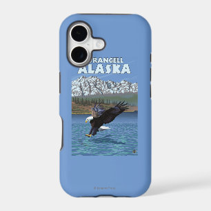Bald Eagle Diving - Wrangell, Alaska