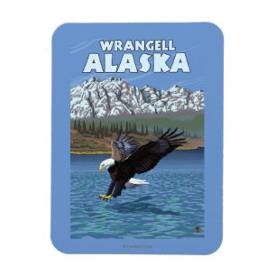 Bald Eagle Diving - Wrangell, Alaska Magnet
