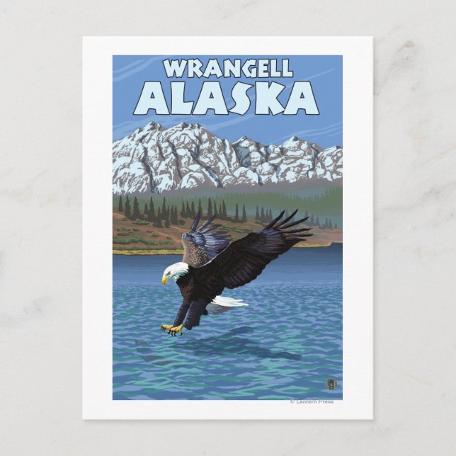 Bald Eagle Diving - Wrangell, Alaska Postcard (Front)