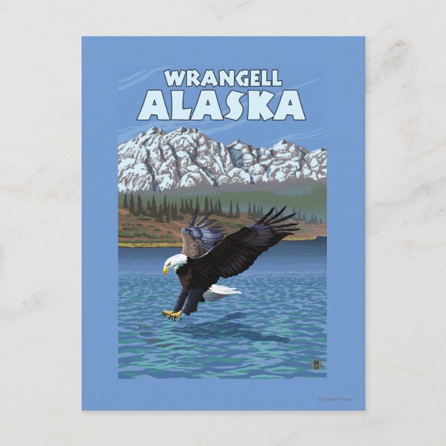 Bald Eagle Diving - Wrangell, Alaska Postcard (Front)