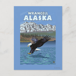Bald Eagle Diving - Wrangell, Alaska Postcard
