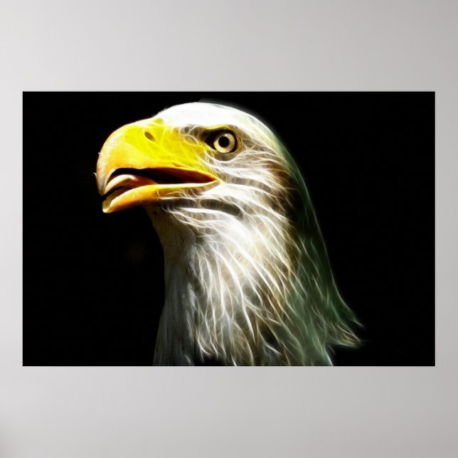 Bald Eagle electricity glow poster (Front)