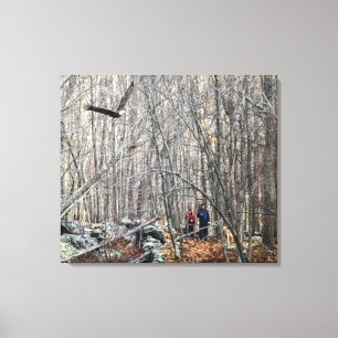 Bald Eagle Encounter Canvas Print