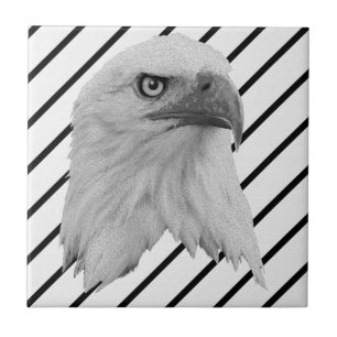 Bald Eagle Face Oil Paint, Tile