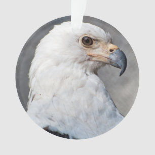 Bald Eagle Family Name Ornament