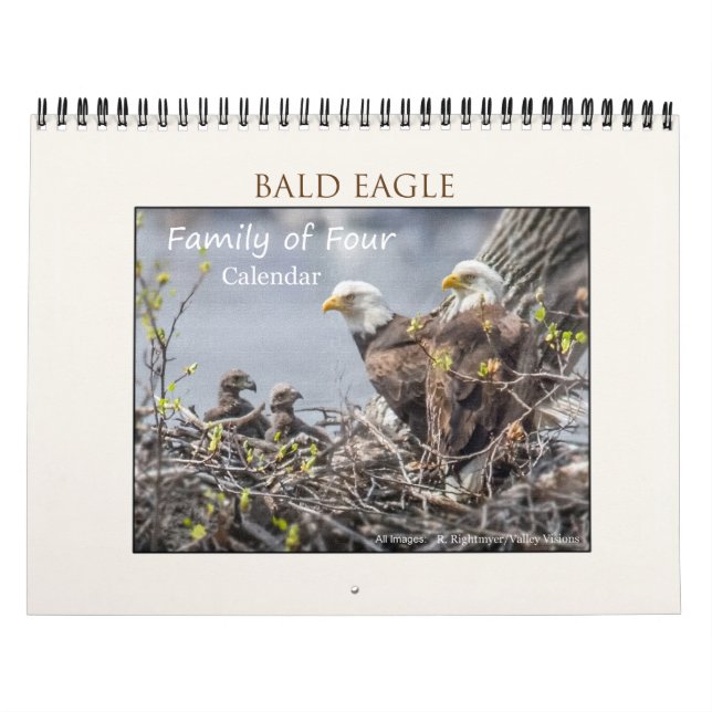 Bald Eagle Family of Four Calendar (Cover)