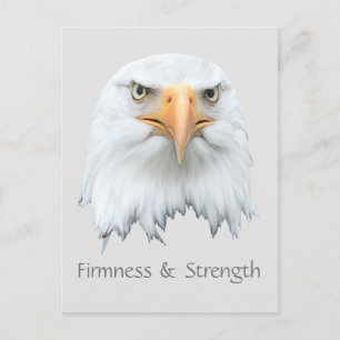 Bald Eagle Firmness & Strength customizable Postcard