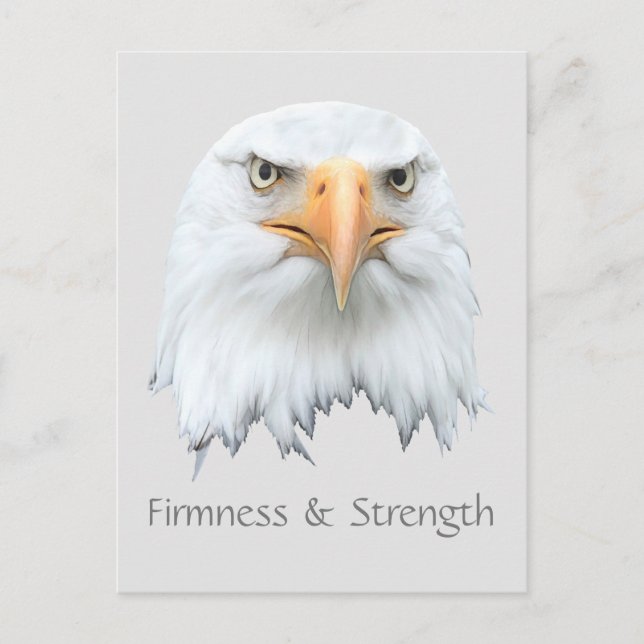 Bald Eagle Firmness & Strength customizable Postcard (Front)