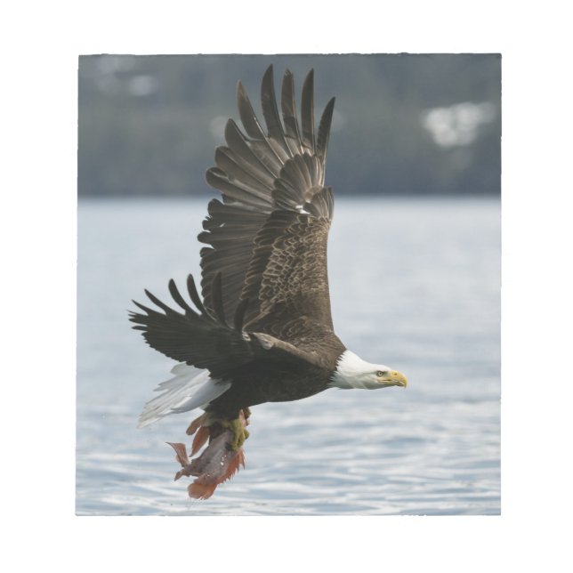 Bald Eagle Fish Retrieval Notepad (Front)