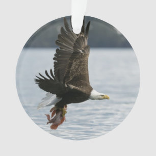 Bald Eagle Fish Retrieval Ornament
