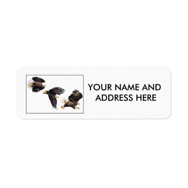 Bald Eagle Flight (Front)