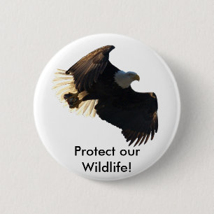 Bald Eagle Flight Collection II 2 Inch Round Button