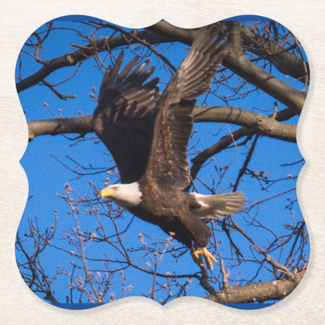 Bald Eagle Flight Paper Coaster (Front)