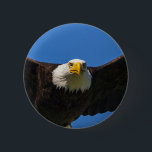 Bald Eagle Flyby Up Close 2 Inch Round Button<br><div class="desc">Bald Eagle flyby up close</div>
