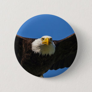 Bald Eagle Flyby Up Close 2 Inch Round Button