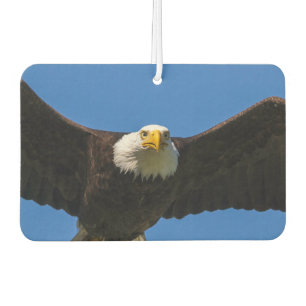 Bald Eagle Flyby Up Close Air Freshener
