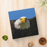 Bald Eagle Flyby Up Close Binder<br><div class="desc">Bald Eagle flyby up close</div>