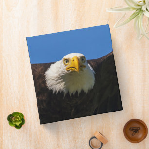 Bald Eagle Flyby Up Close Binder