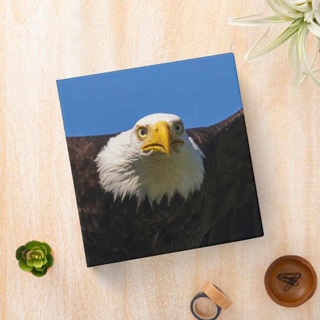 Bald Eagle Flyby Up Close Binder (In Situ)