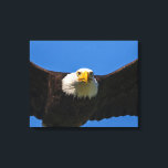 Bald Eagle Flyby Up Close Canvas Print<br><div class="desc">Bald Eagle flyby up close</div>