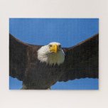 Bald Eagle Flyby Up Close Jigsaw Puzzle<br><div class="desc">Bald Eagle flyby up close</div>
