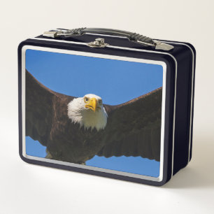 Bald Eagle Flyby Up Close Metal Lunch Box