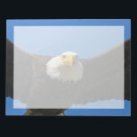 Bald Eagle Flyby Up Close Notepad<br><div class="desc">Bald Eagle flyby up close</div>