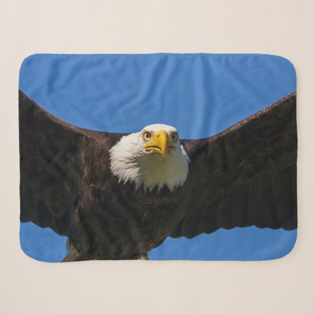 Bald Eagle Flyby Up Close Sherpa Blanket (Front (Horizontal))
