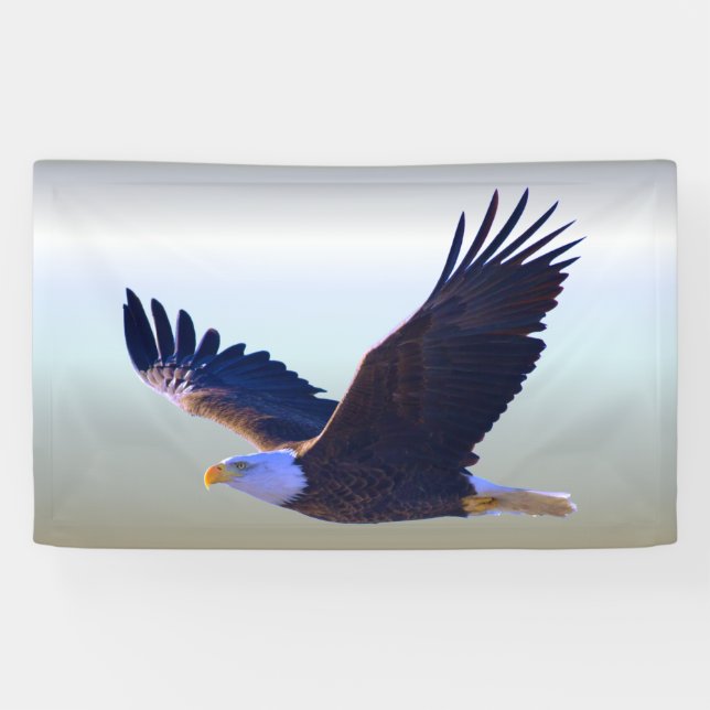 Bald Eagle Flying Banner (Horizontal)