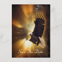 Bald Eagle & Forest Sunlight Invitation Cartes