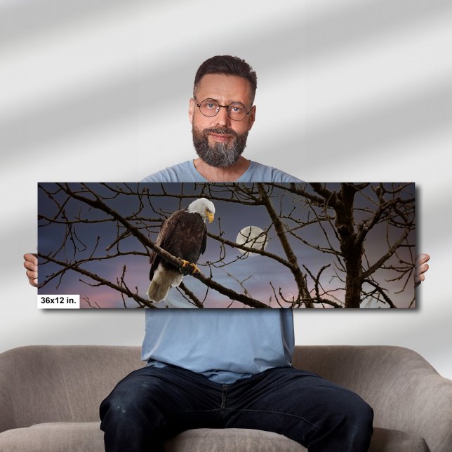 Bald Eagle Full Moon Wildlife Photography Canvas Print (Creator Uploaded)