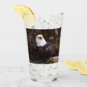 Bald Eagle Glass