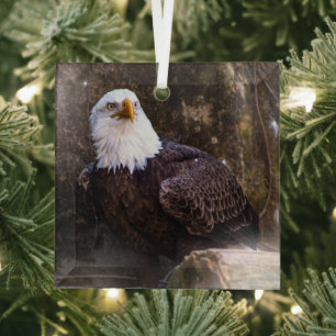 Bald Eagle Glass Ornament