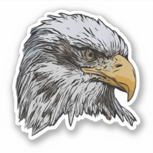Bald Eagle Graphic American National Symbol Animal