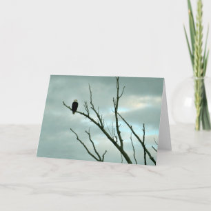 Bald eagle greeting card