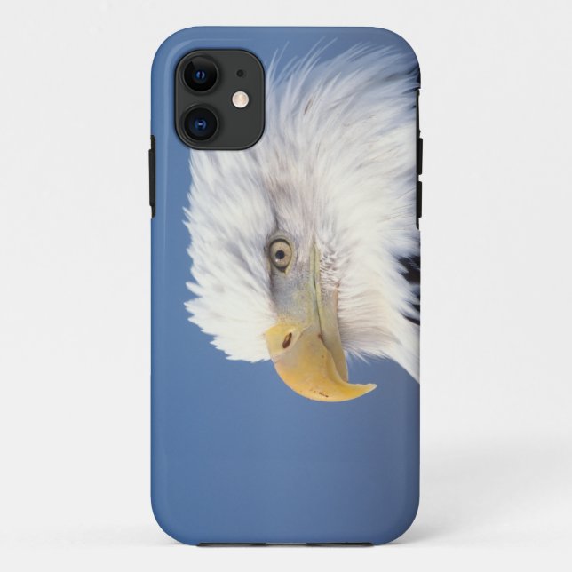 bald eagle, Haliaeetus leuccocephalus, Case-Mate iPhone Case (Back)