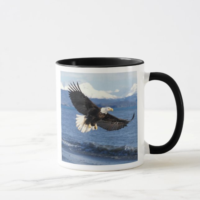 bald eagle, Haliaeetus leuccocephalus, in flight Mug (Right)