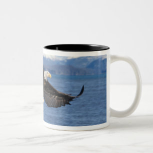 bald eagle, Haliaeetus leuccocephalus, in flight Two-Tone Coffee Mug