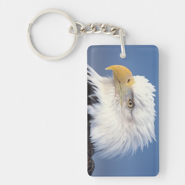 bald eagle, Haliaeetus leuccocephalus, Keychain (Front)