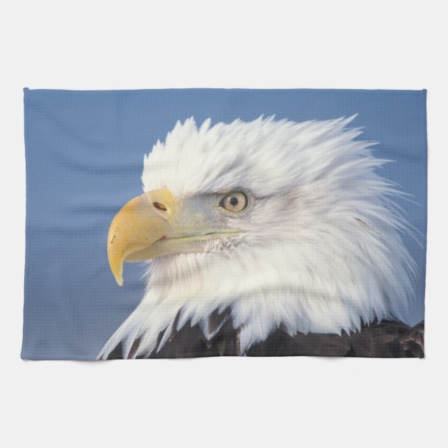 bald eagle, Haliaeetus leuccocephalus, Kitchen Towel (Horizontal)
