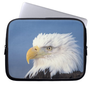 bald eagle, Haliaeetus leuccocephalus, Laptop Sleeve