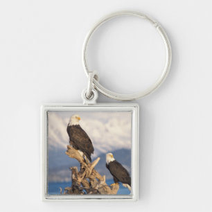 bald eagle, Haliaeetus leuccocephalus, pair Keychain