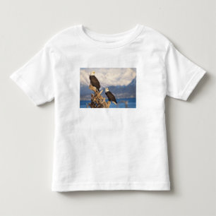 bald eagle, Haliaeetus leuccocephalus, pair Toddler T-shirt