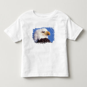 bald eagle, Haliaeetus leucocephalus, close up, 3 Toddler T-shirt