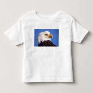 bald eagle, Haliaeetus leucocephalus, close up, 3 Toddler T-shirt